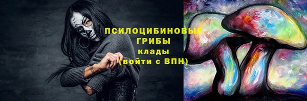 apvp Магас