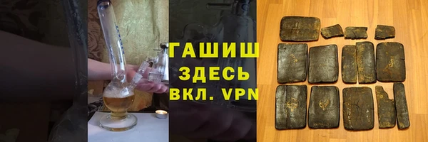 гидра Майский