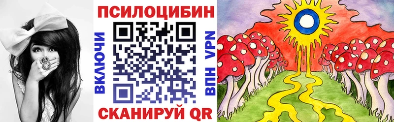 Галлюциногенные грибы Psilocybe omg вход Талдом